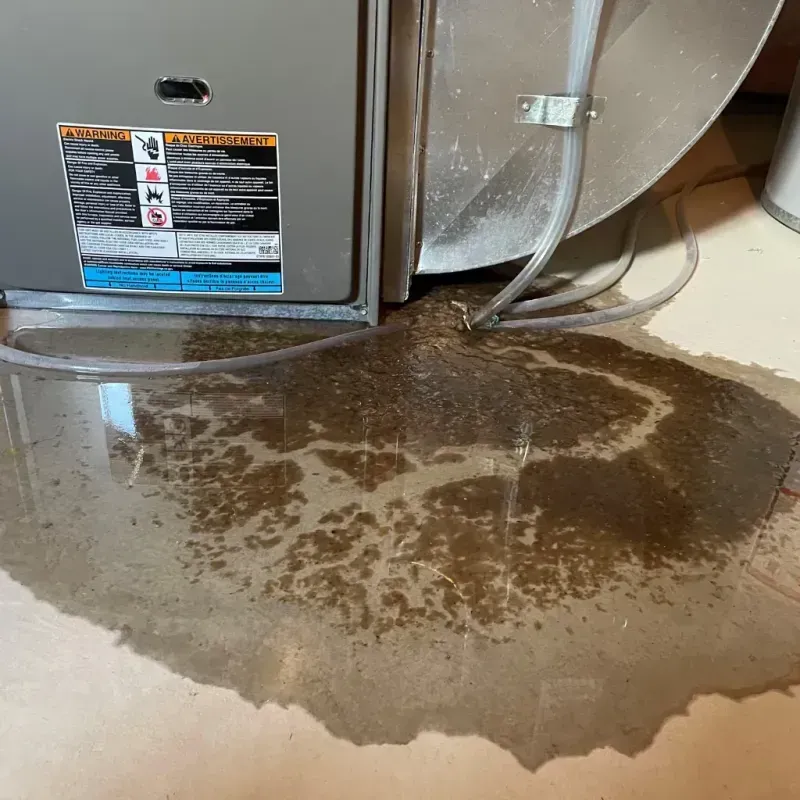 Appliance Leak Cleanup in Potomac Park, MD